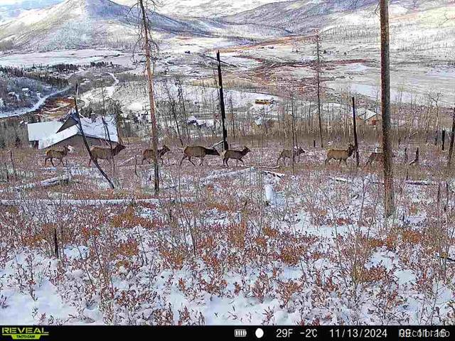 582 County Road 414