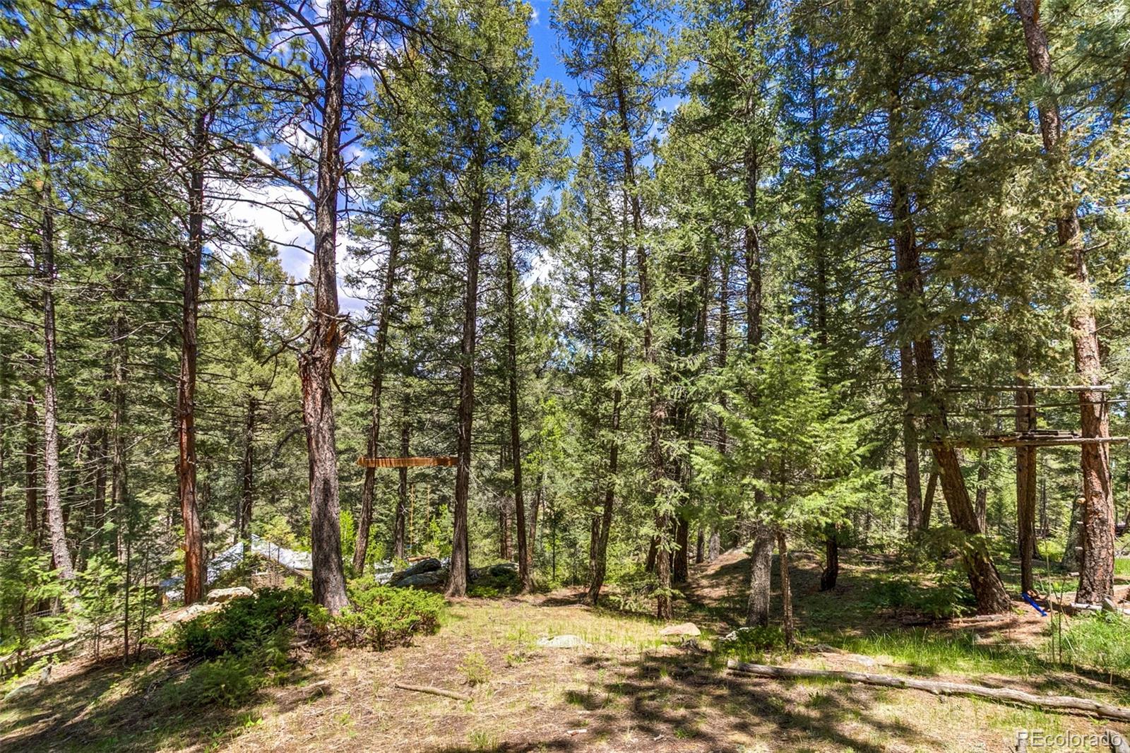 7364 Rossman Gulch Road