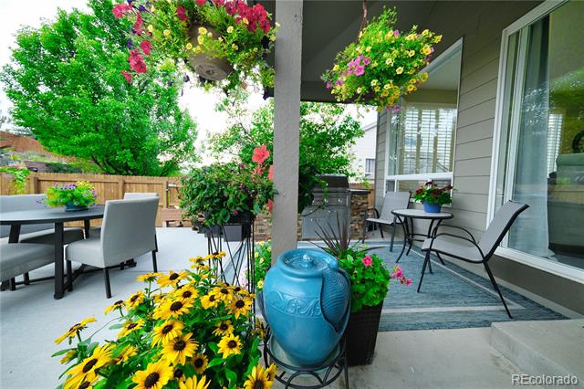 3928 Black Feather Trail