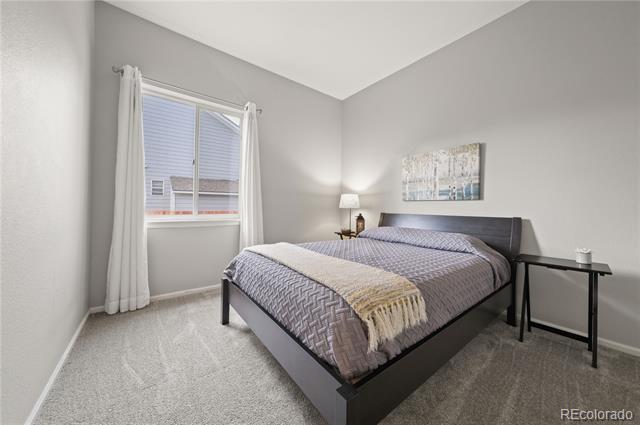 3928 Black Feather Trail