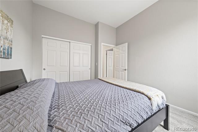 3928 Black Feather Trail