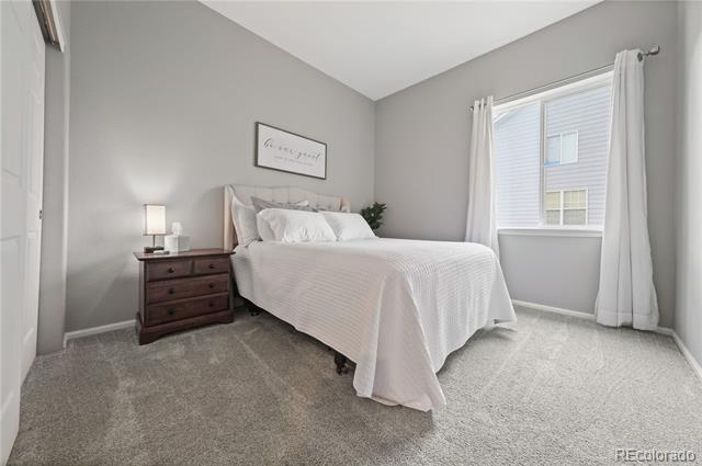 3928 Black Feather Trail