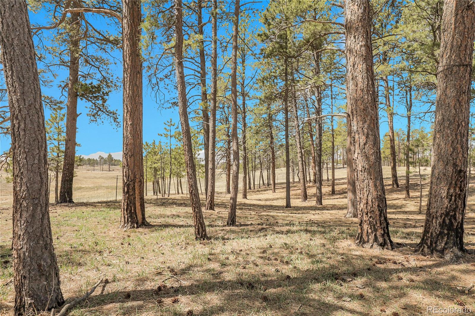 13385 Herring Road