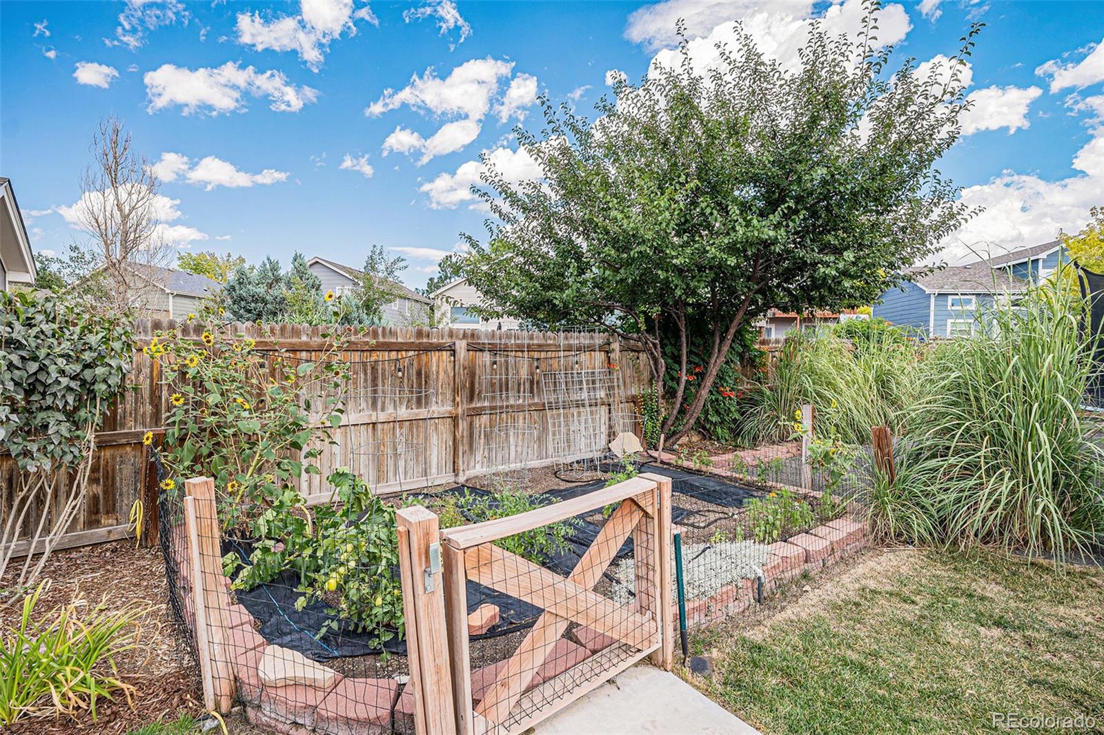 21976 E Oberlin Place