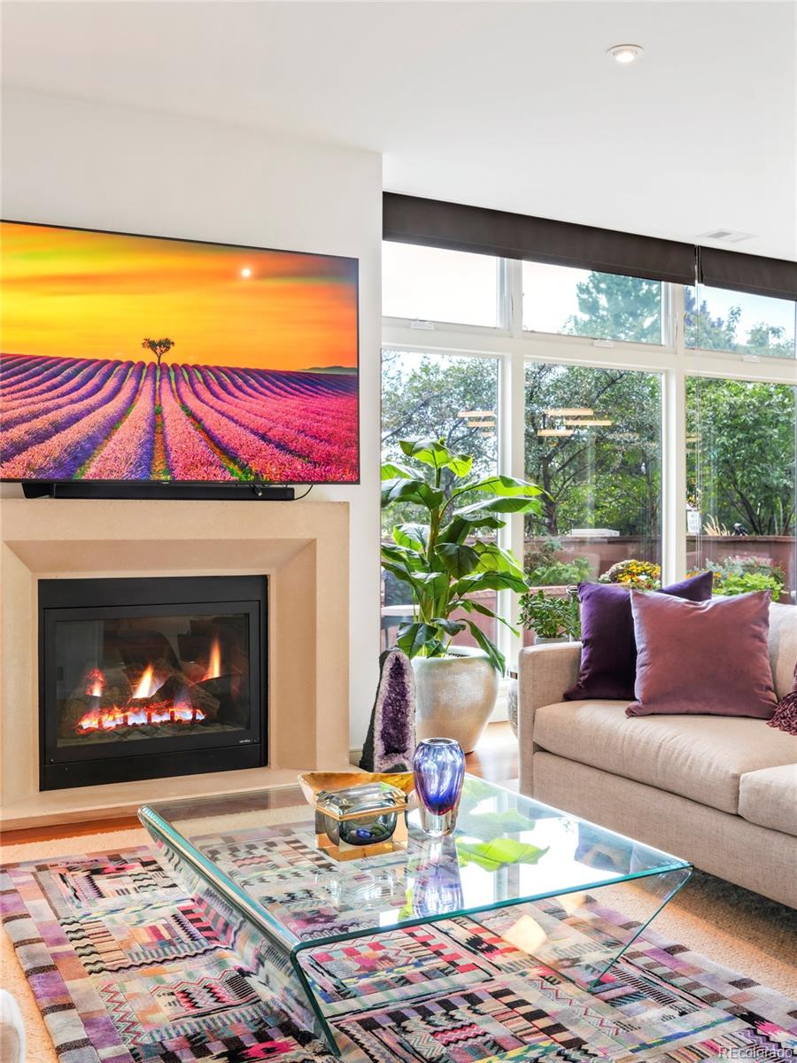 333 S Monroe Street Unit: 101