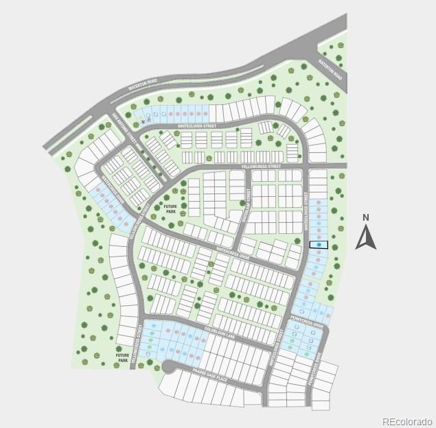 8828 Whiteclover Street