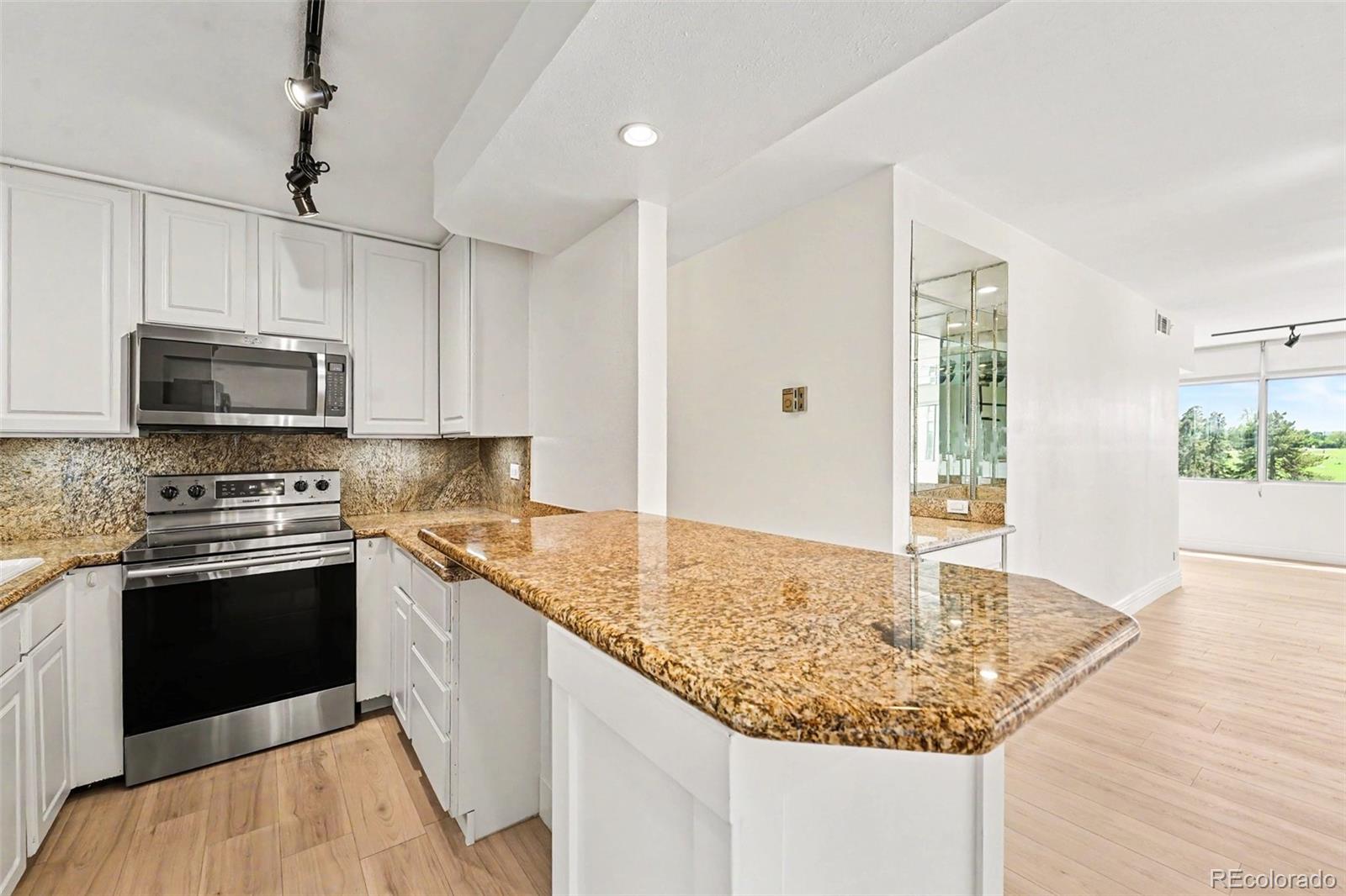 1313 N Williams Street Unit: 705