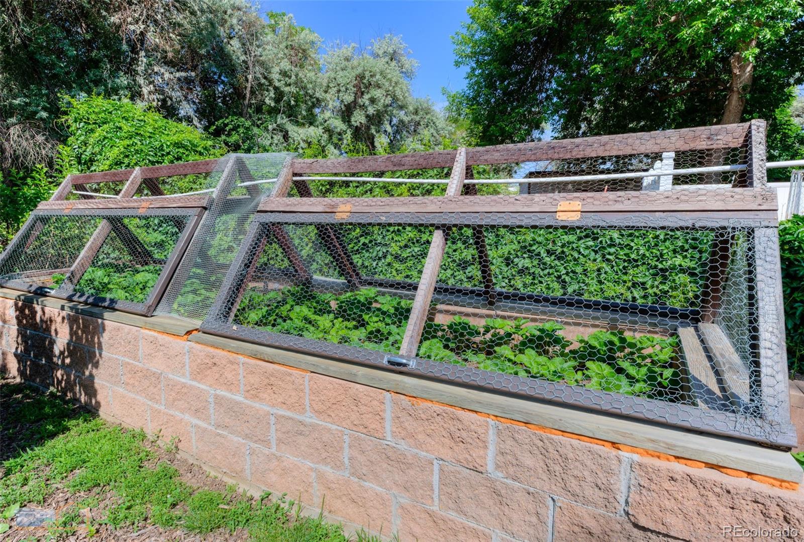 1813 Pikes Peak Street