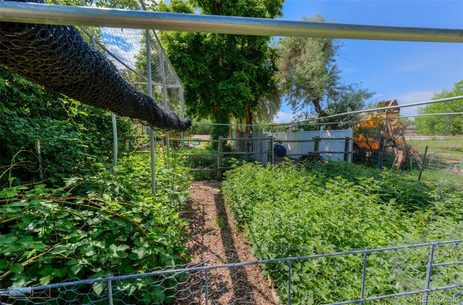 1813 Pikes Peak Street