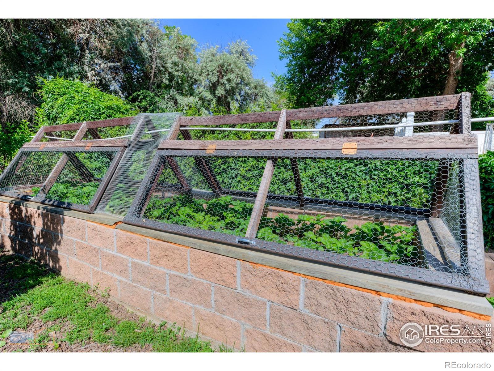 1813 Pikes Peak Street