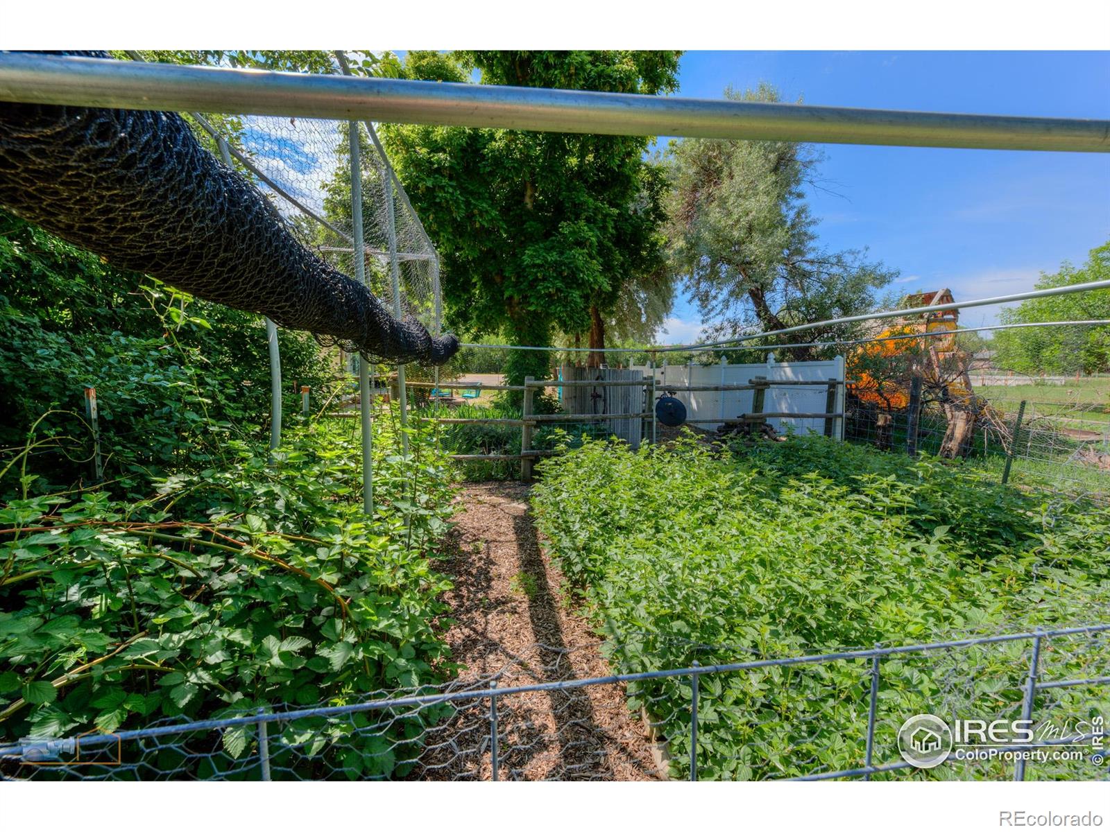 1813 Pikes Peak Street