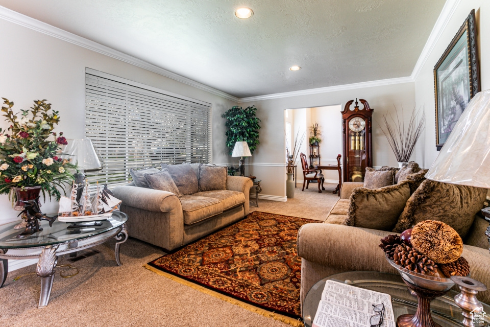 1892 ASHLEY MESA LN