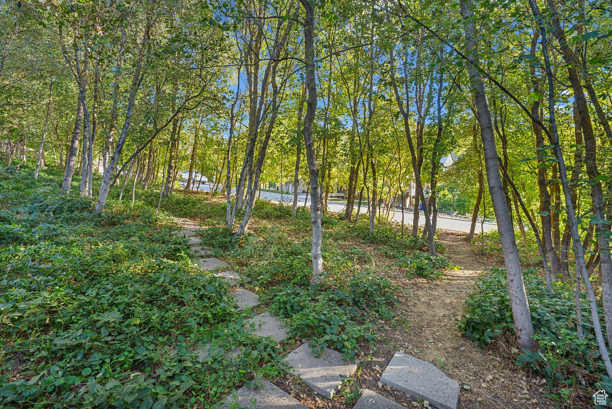 2185 S WOOD HOLLOW WAY