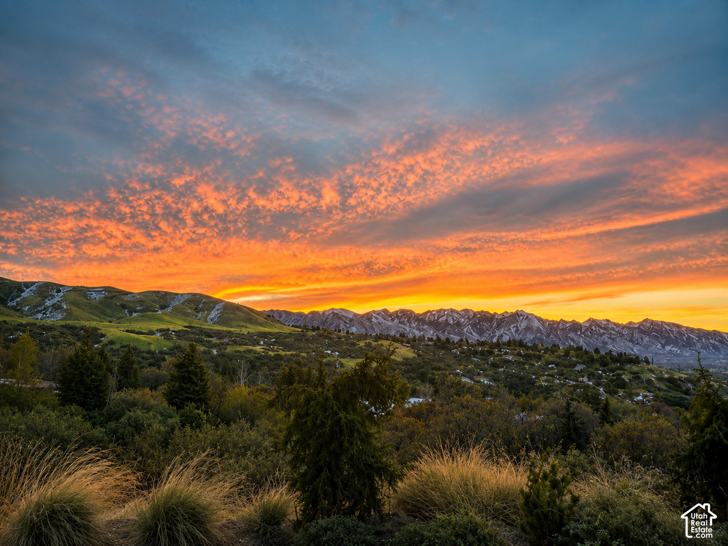 Snow-streaked mountains and green foothills beneath a vivid orange sunset, framed by landscaped trees and grasses.