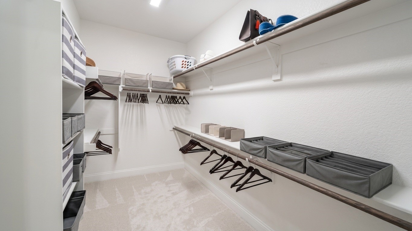 9224 Armadillo Trail