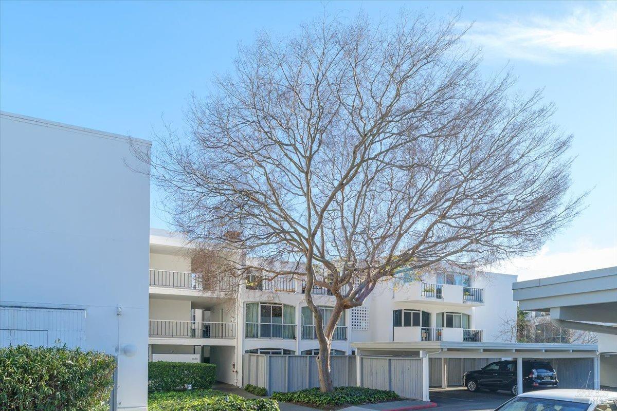 1331 Shelter Bay Avenue Mill Valley CA
