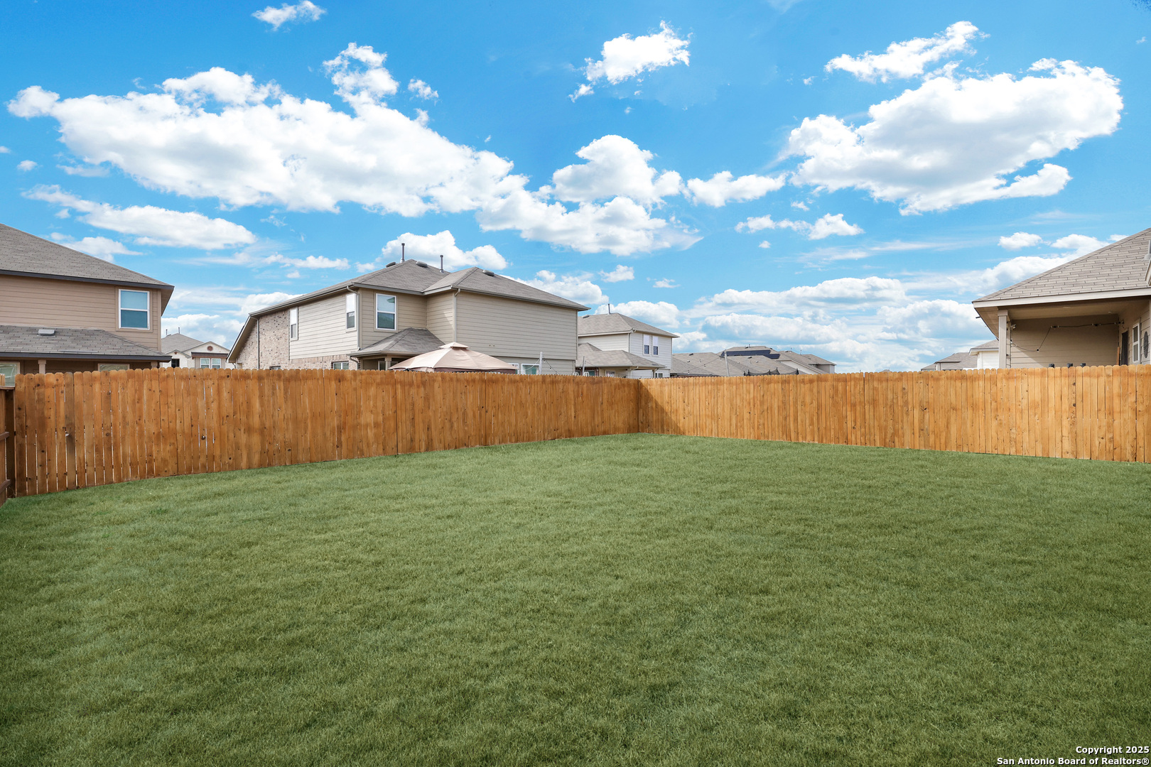 9555 BICKNELL SEDGE