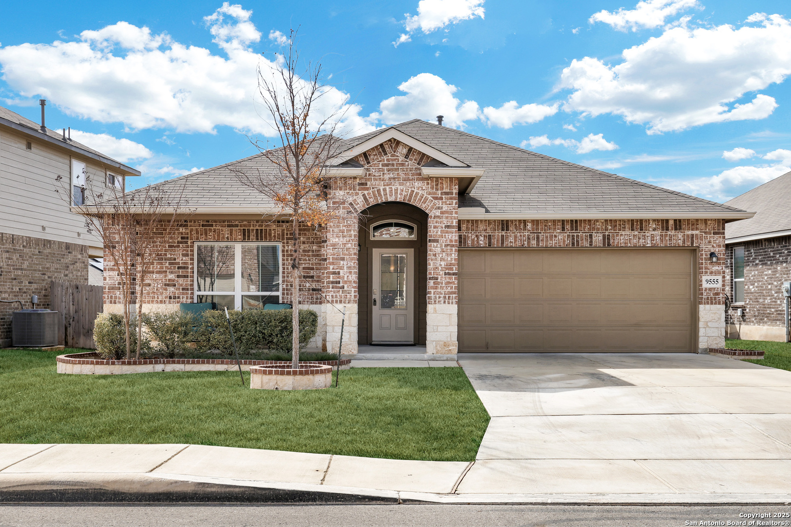9555 BICKNELL SEDGE