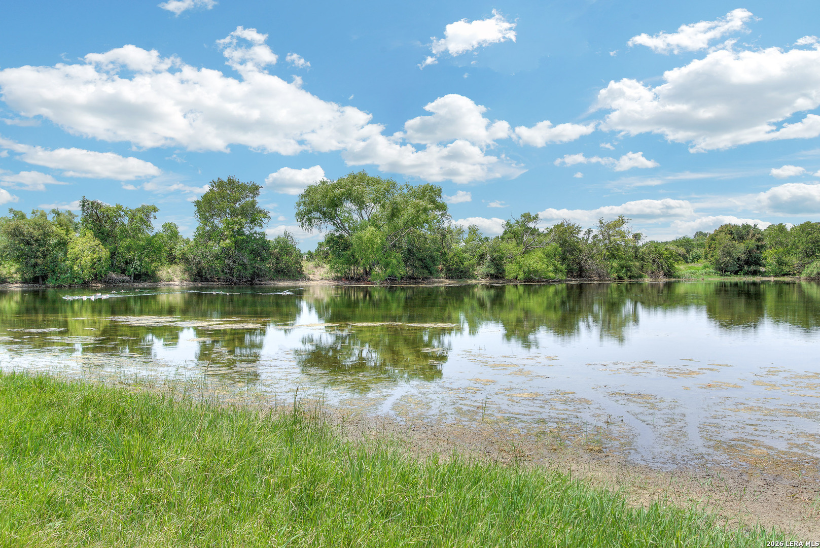1219 Wilder Pond