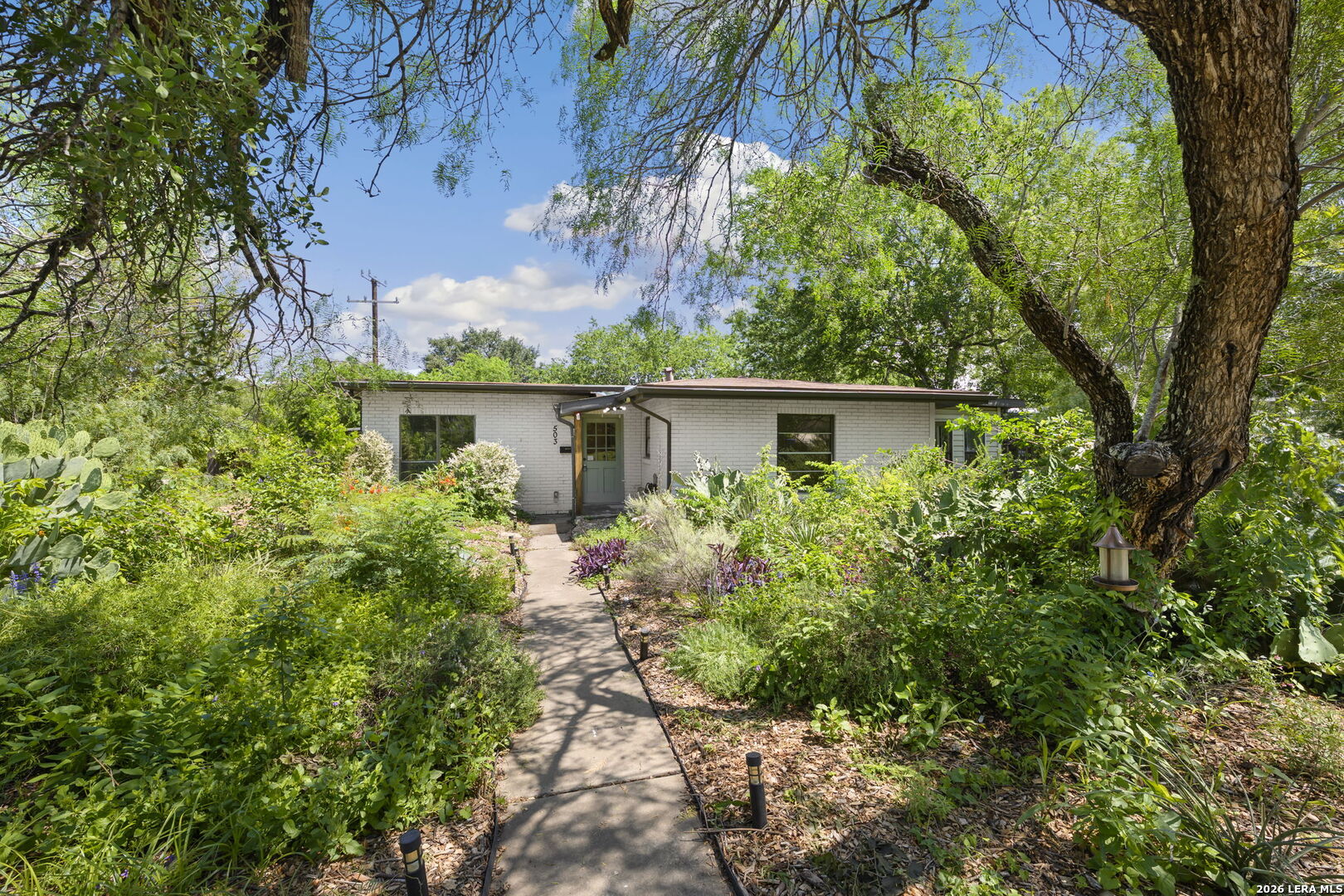 503 Olney Dr
