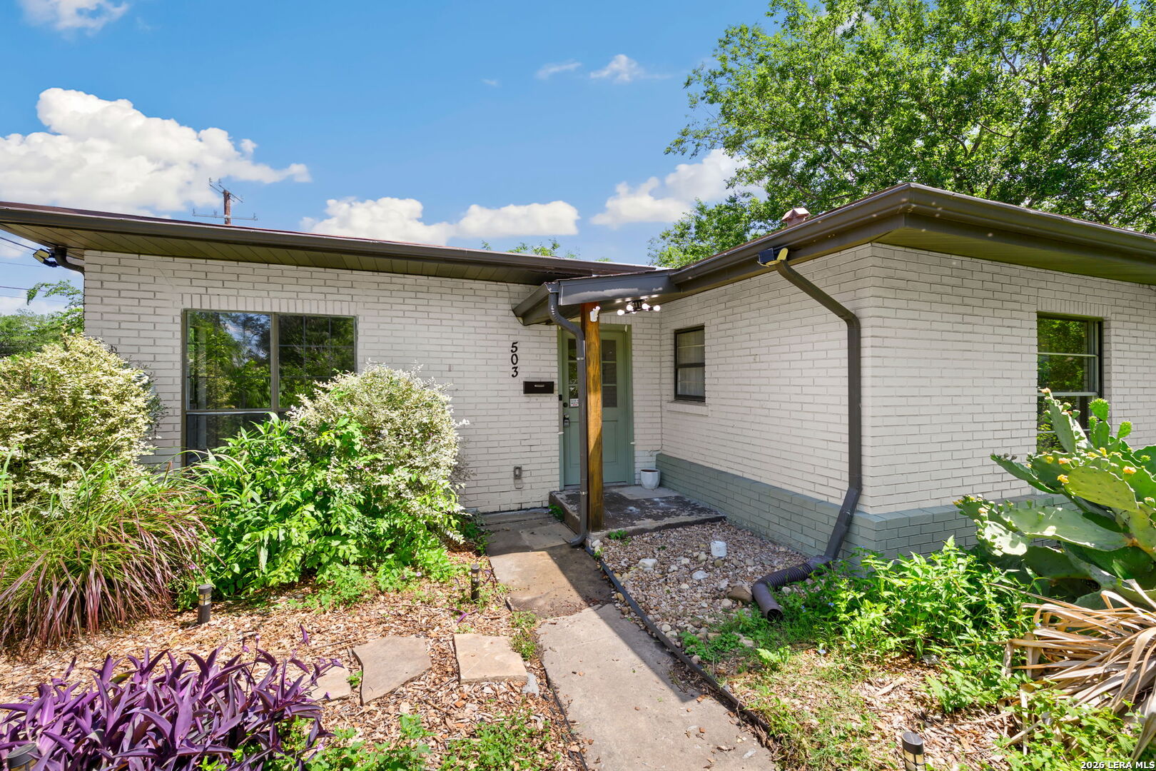 503 Olney Dr