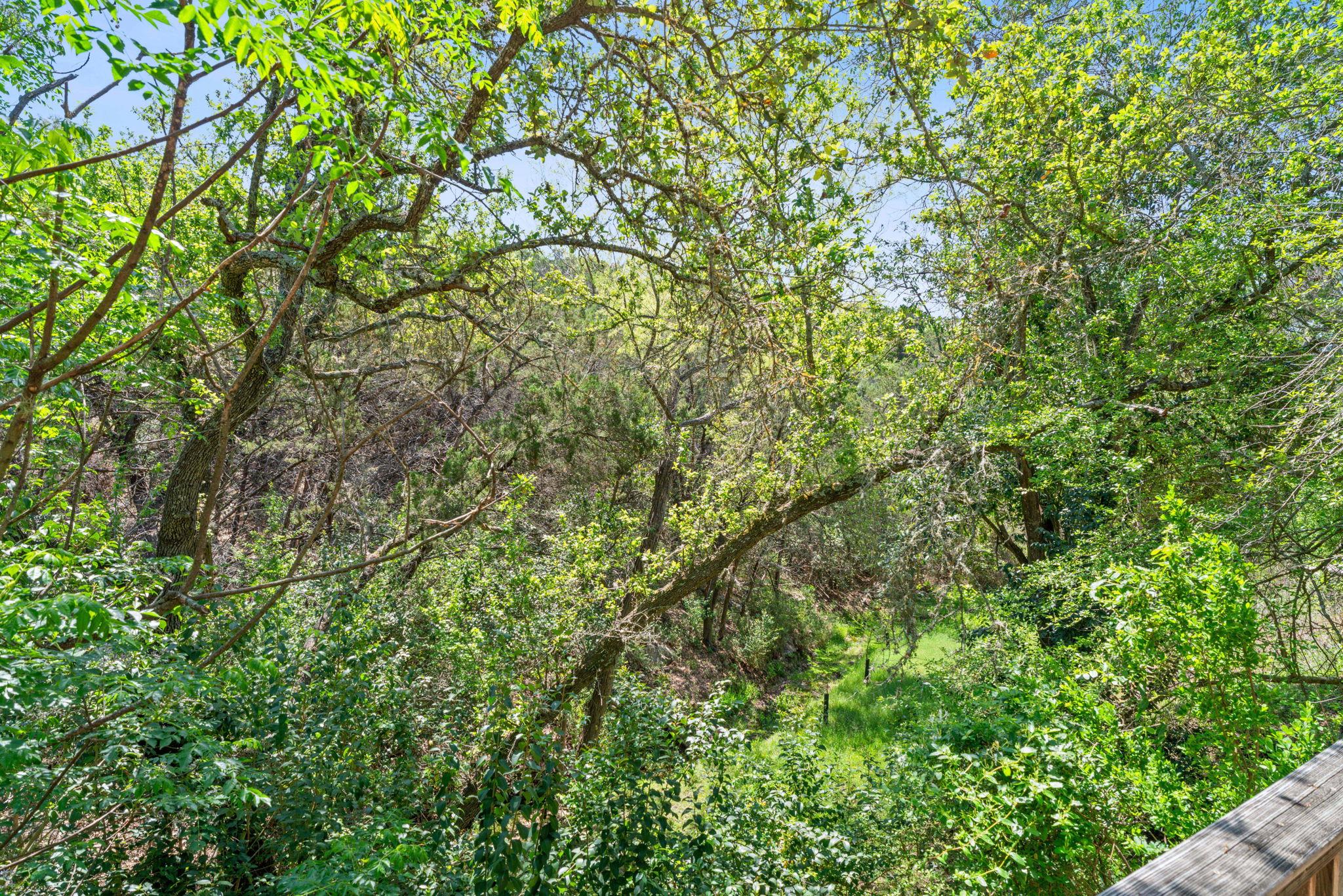 6513 Cat Creek TRL