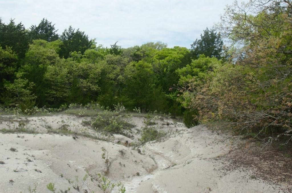 50 AC Joe Davis Road