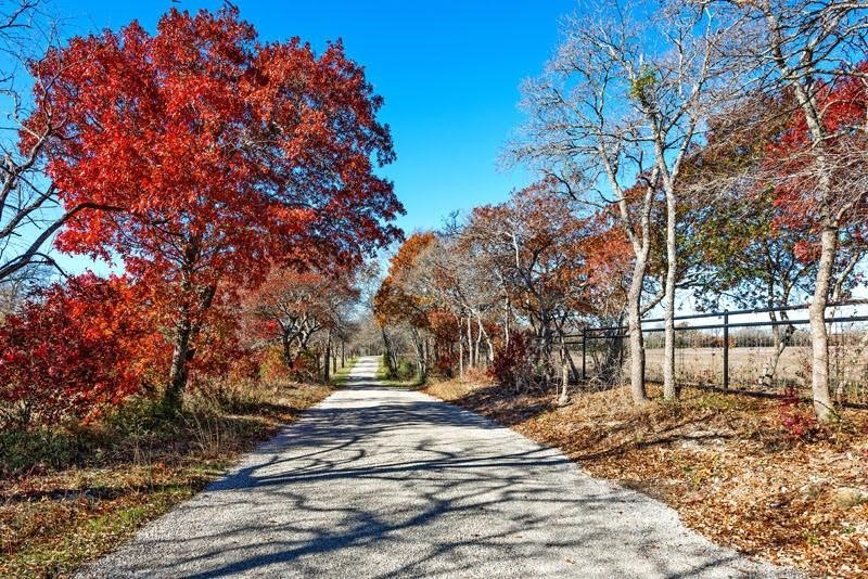 50 AC Joe Davis Road