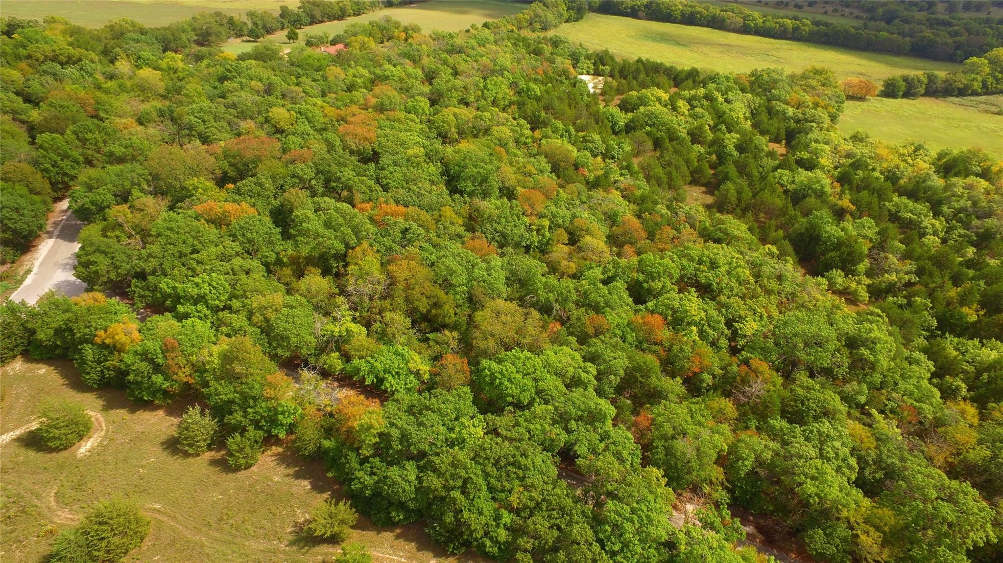 50 AC Joe Davis Road