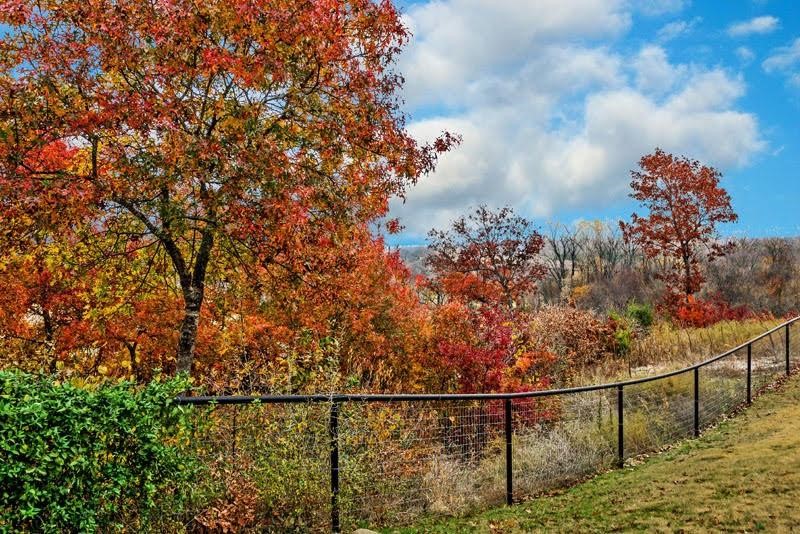 50 AC Joe Davis Road