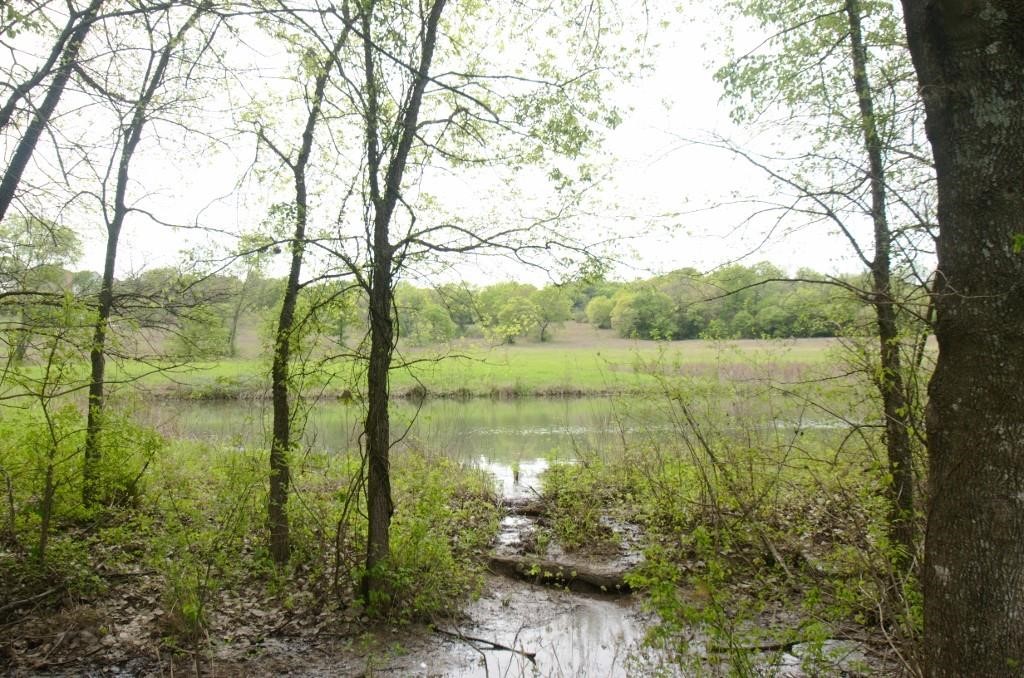 50 AC Joe Davis Road