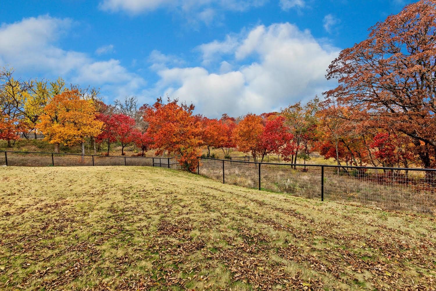 50 AC Joe Davis Road