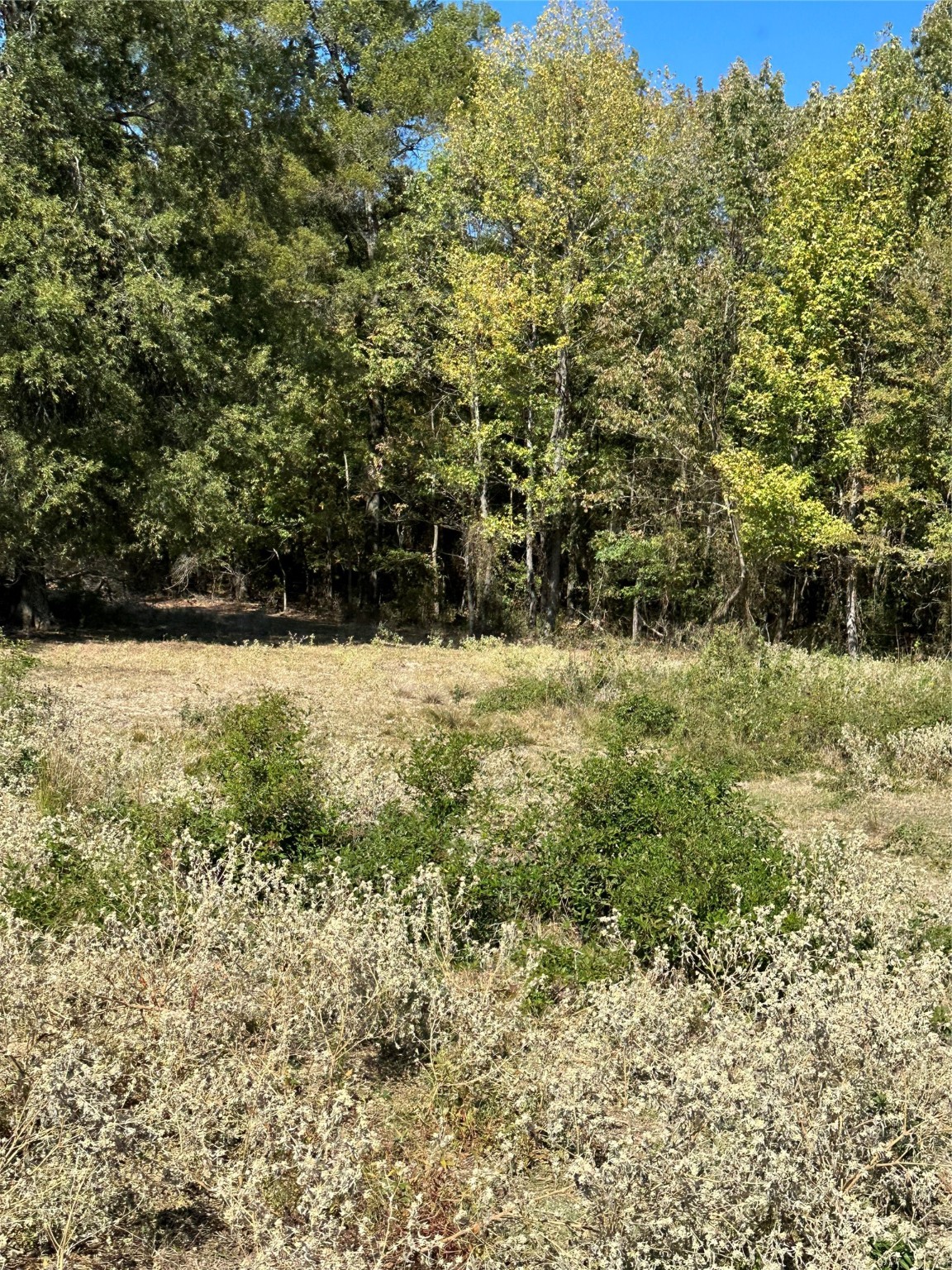 144 County Road 1055 North West