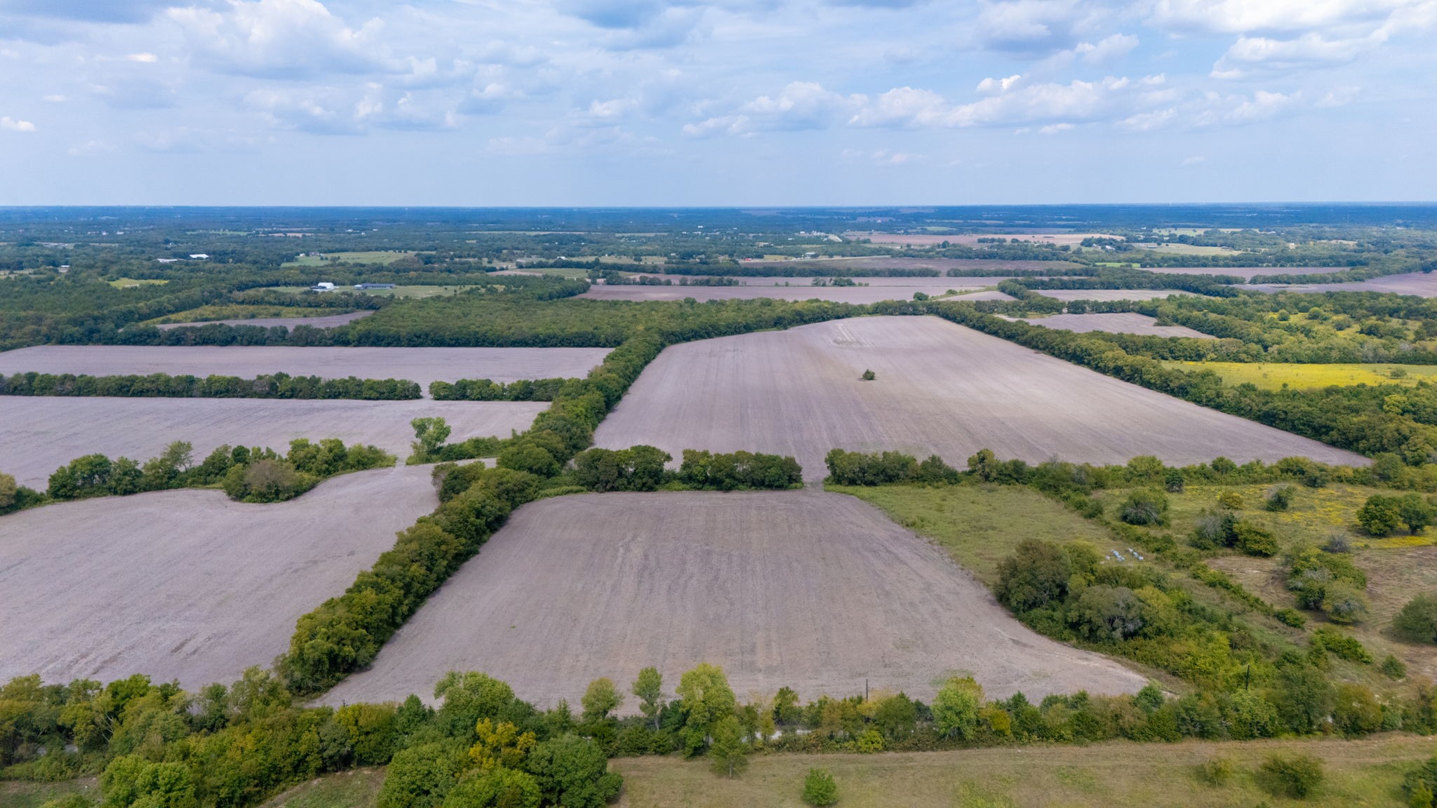 1703 County Road 4605