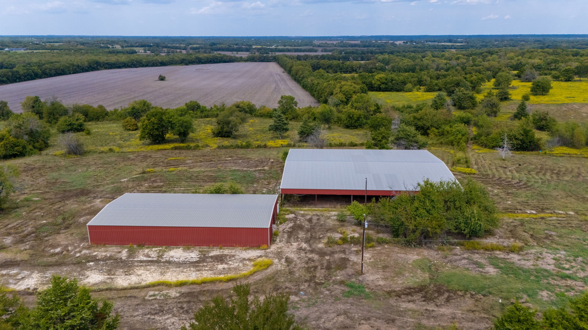 1703 County Road 4605