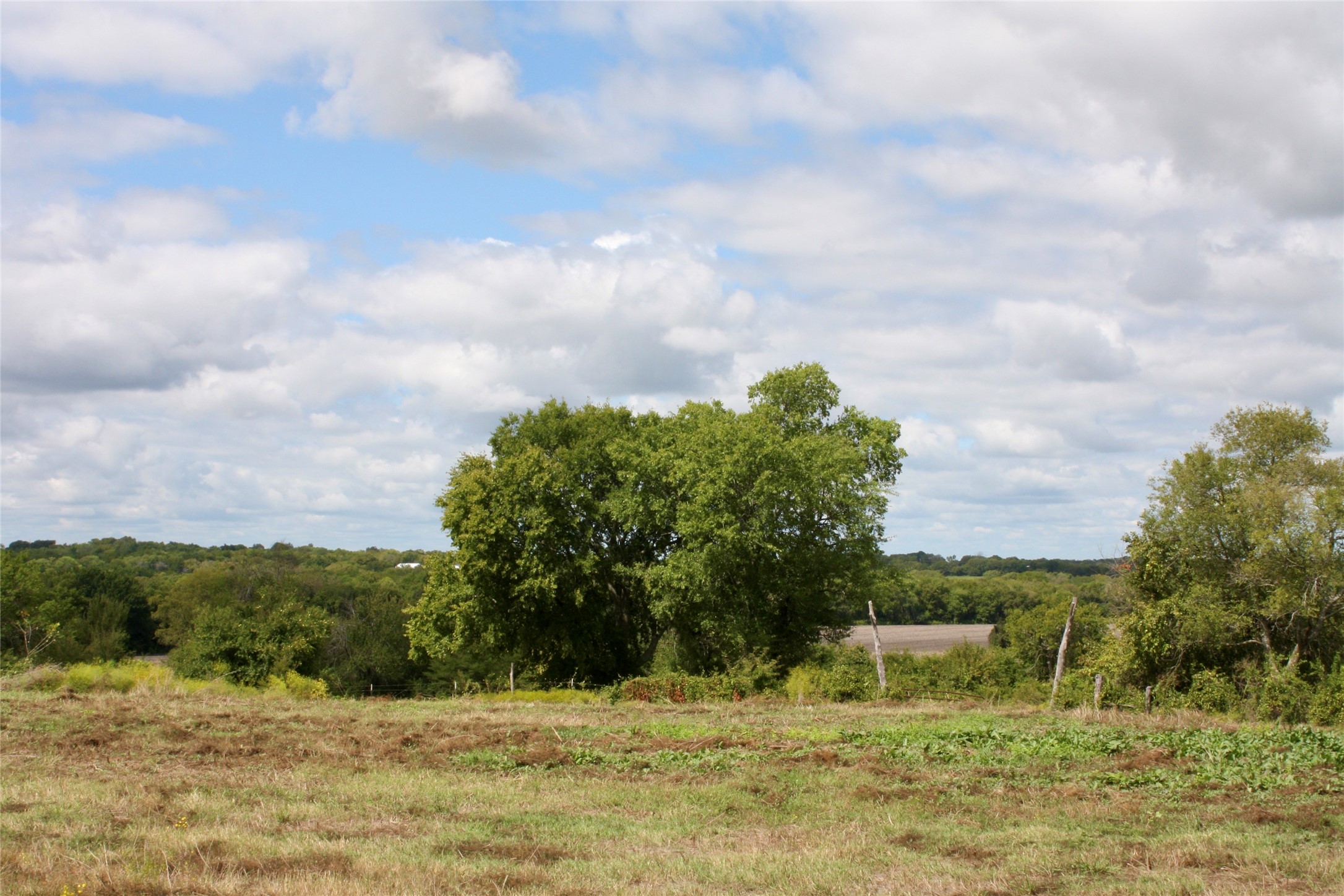 799 County Road 4605