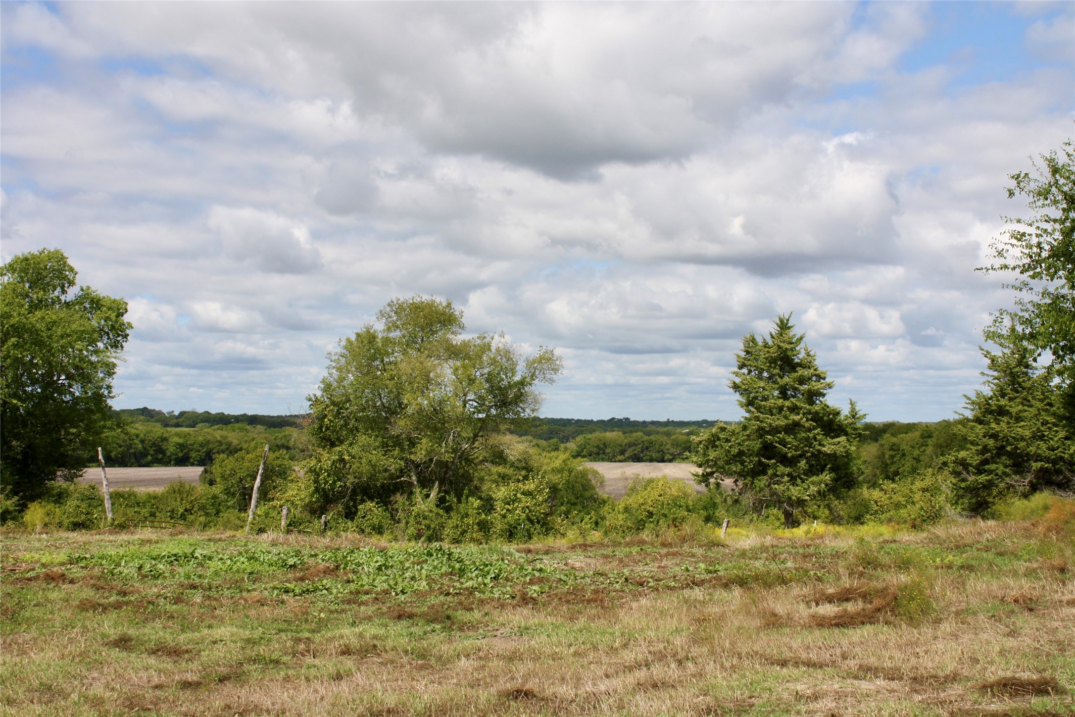 799 County Road 4605