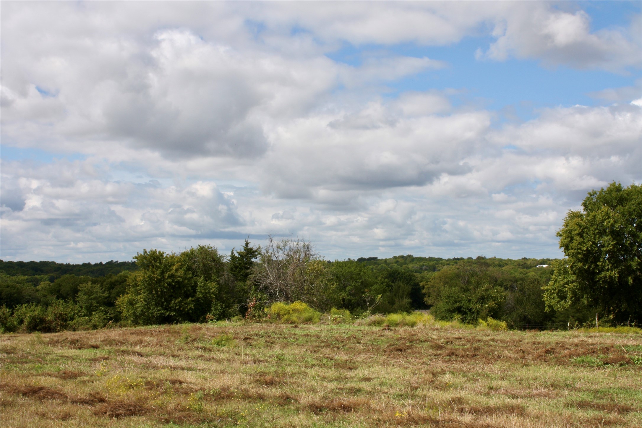 799 County Road 4605