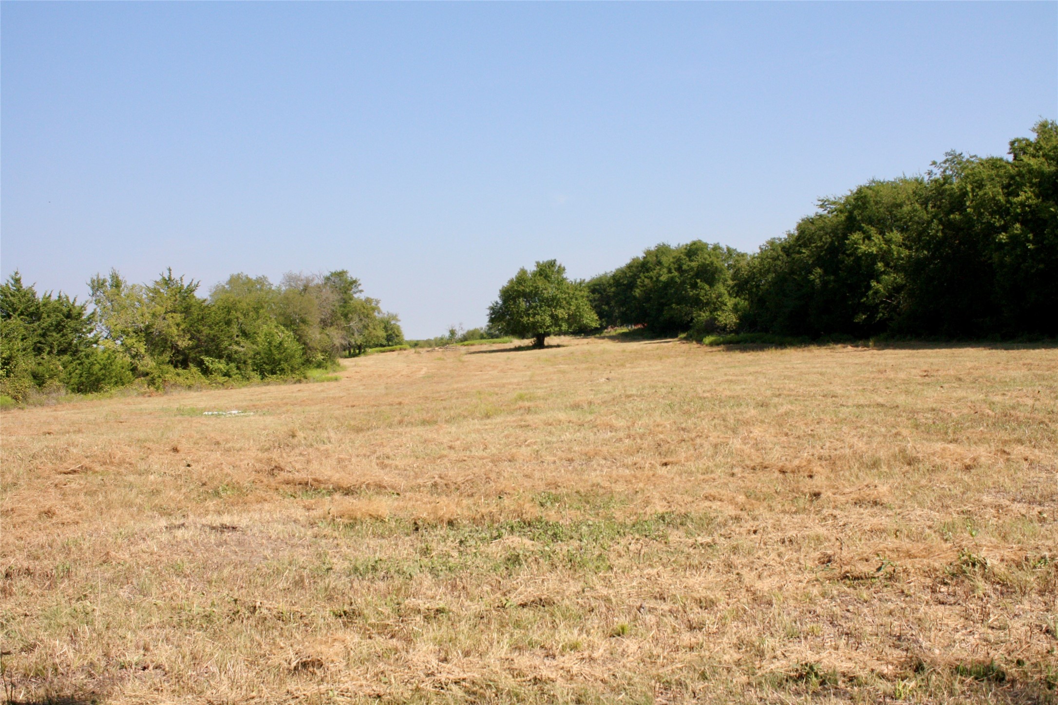 799 County Road 4605