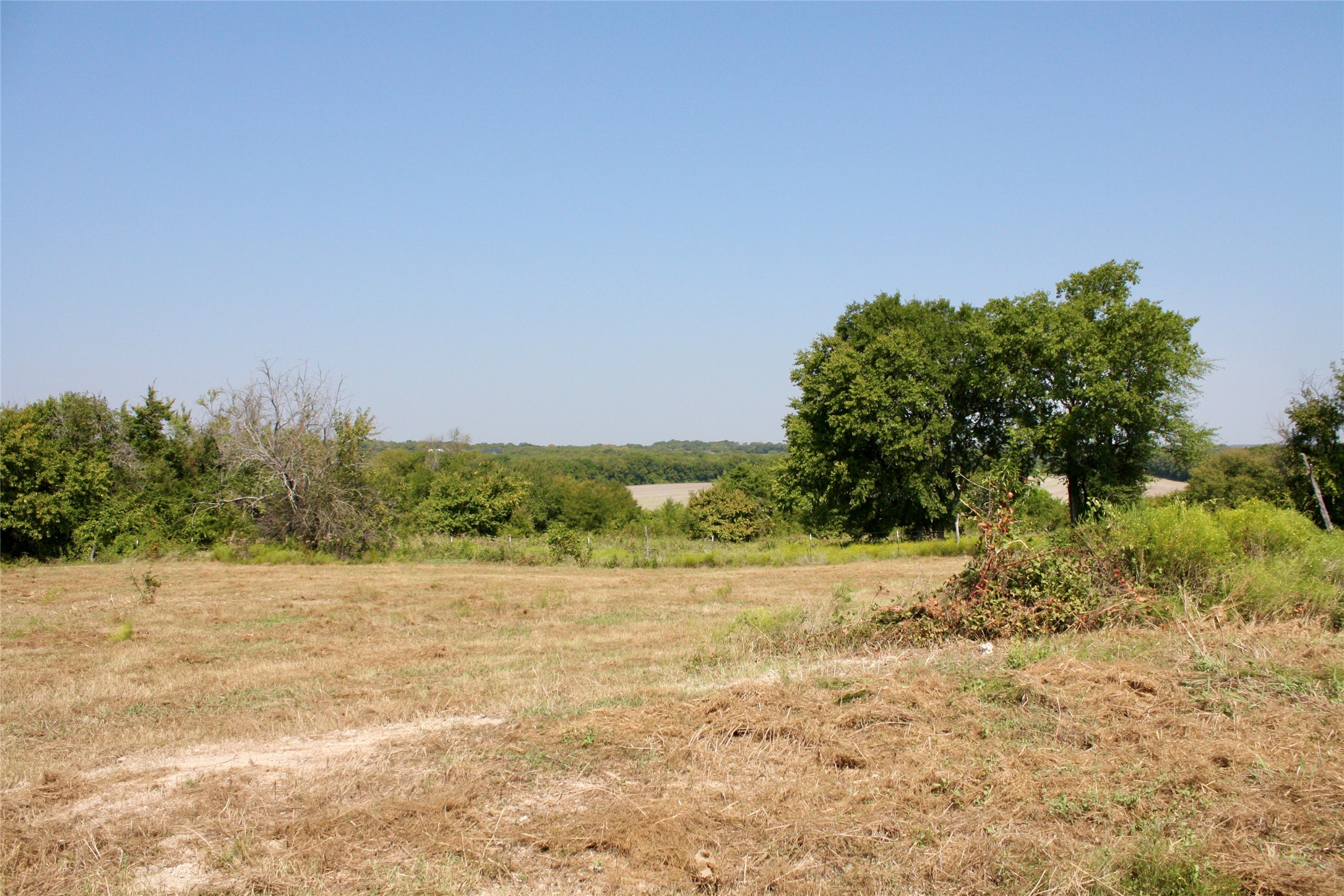 20 Acres County Road 4605