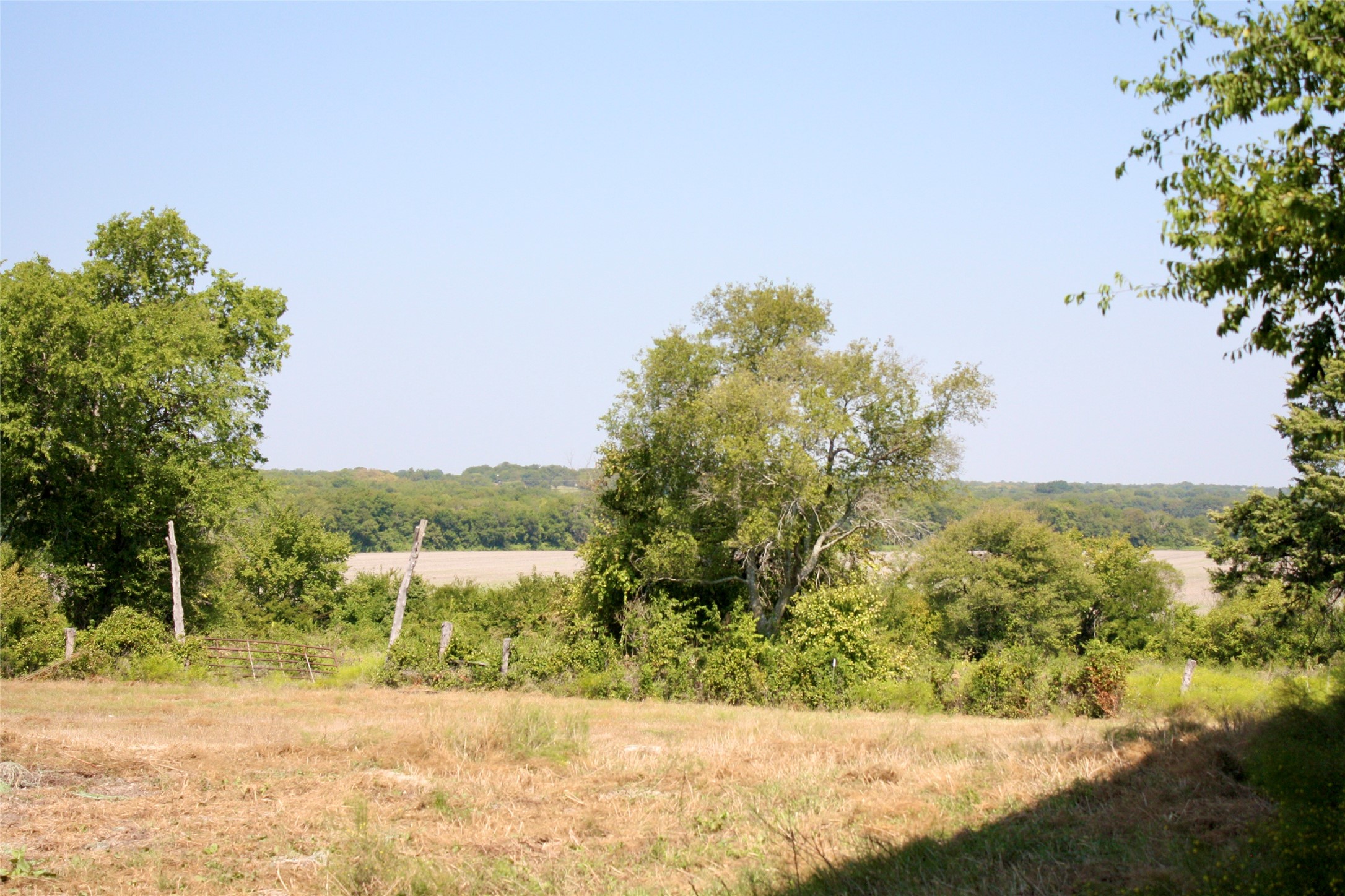 20 Acres County Road 4605