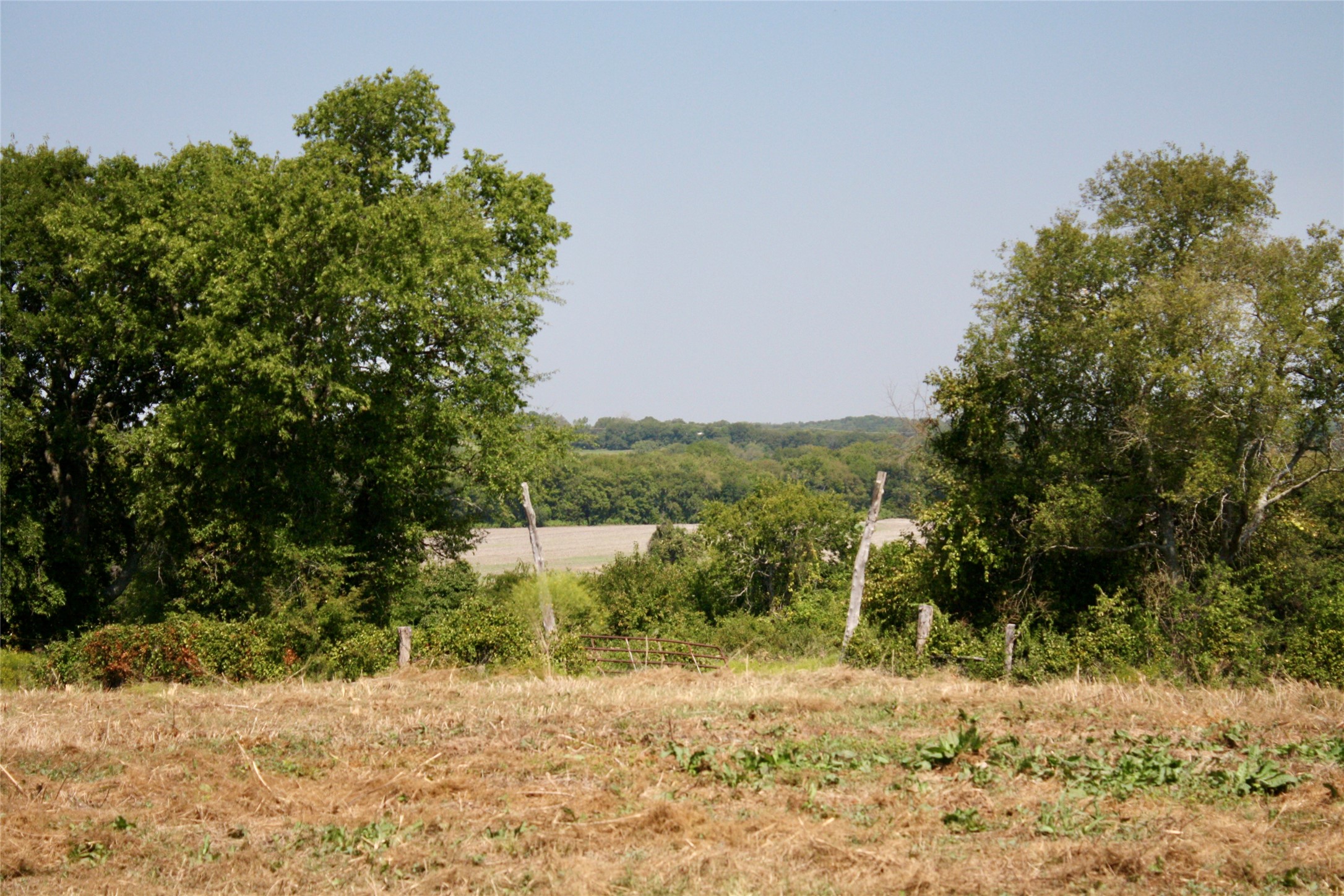 20 Acres County Road 4605