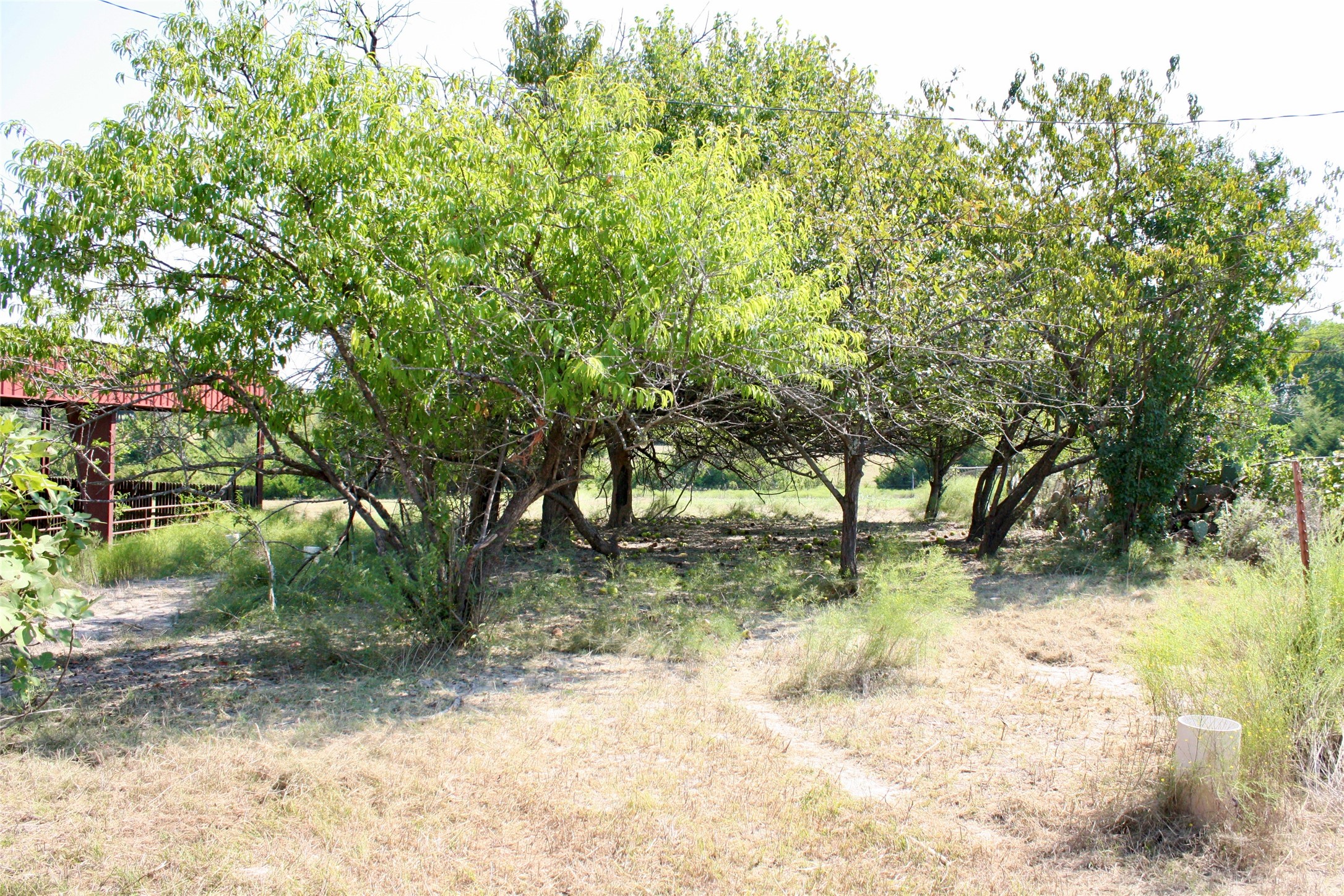 20 Acres County Road 4605