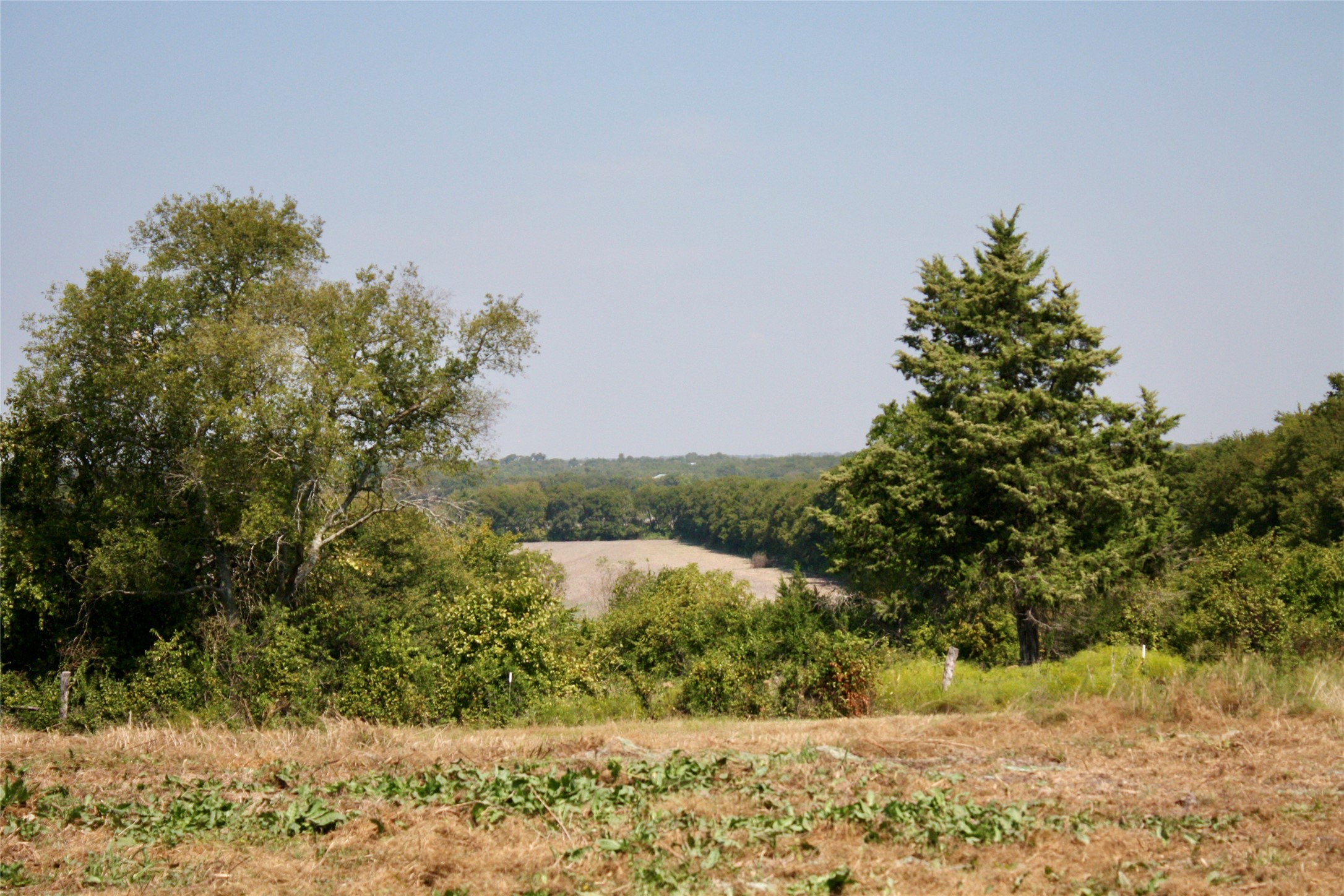 20 Acres County Road 4605