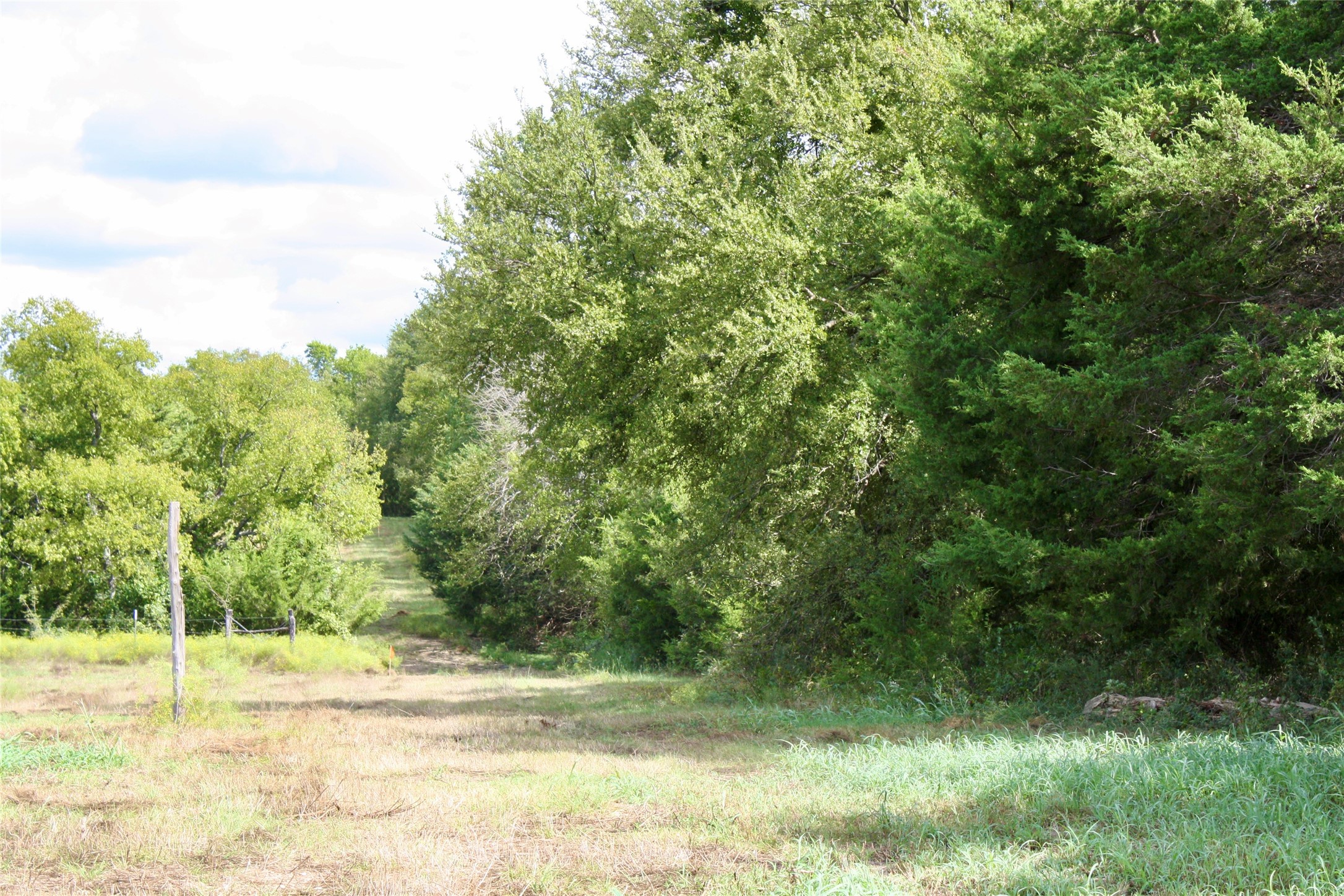 30 Acres County Road 4605 Road