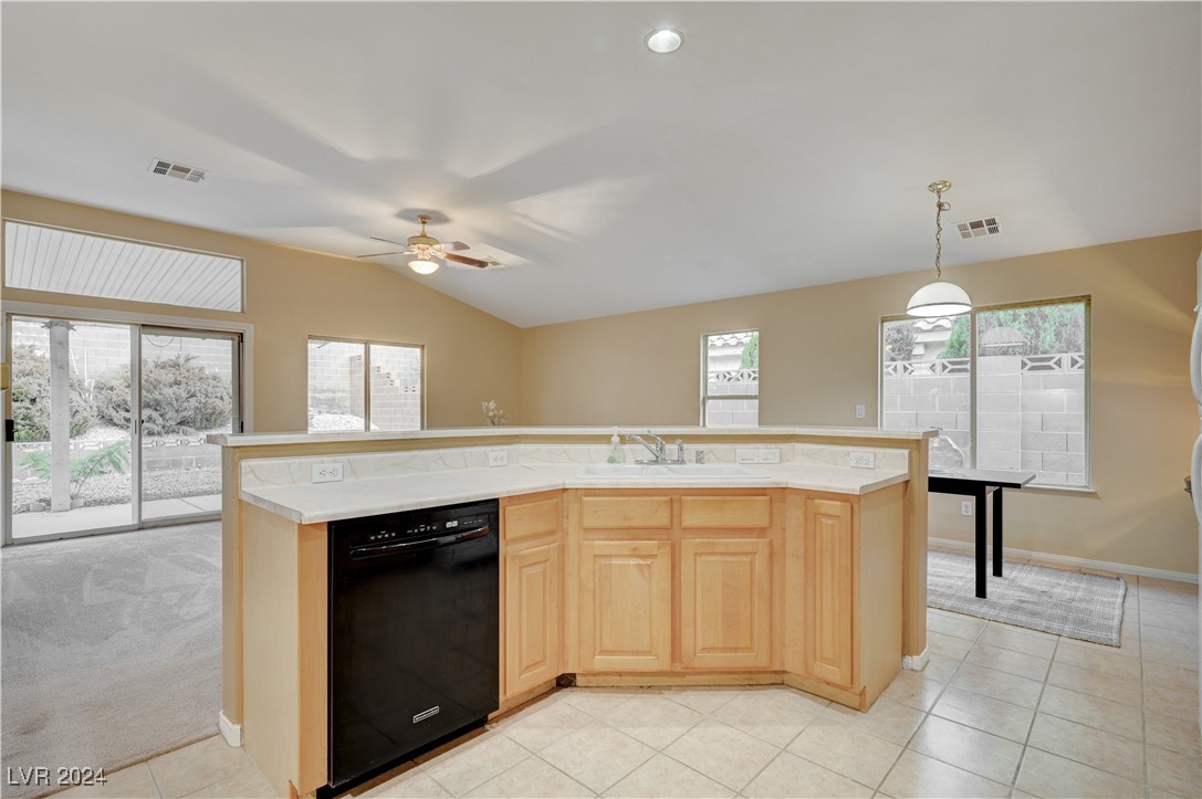 1230 Mound House Street