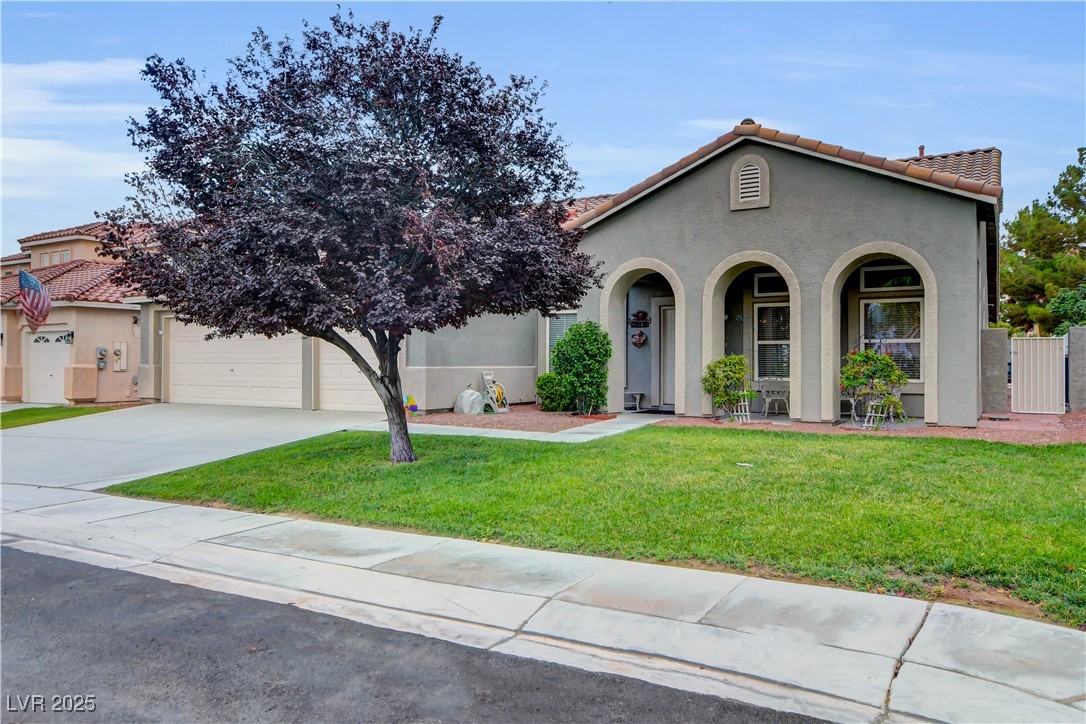 913 Bear Mountain Avenue