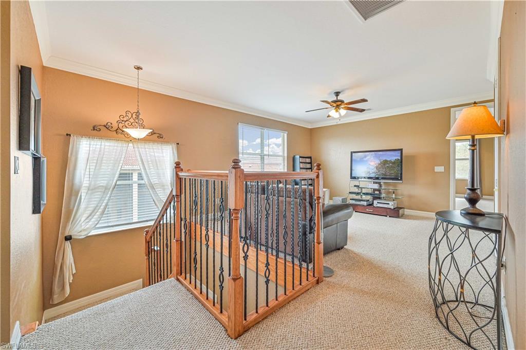 10212 Mimosa Silk DR