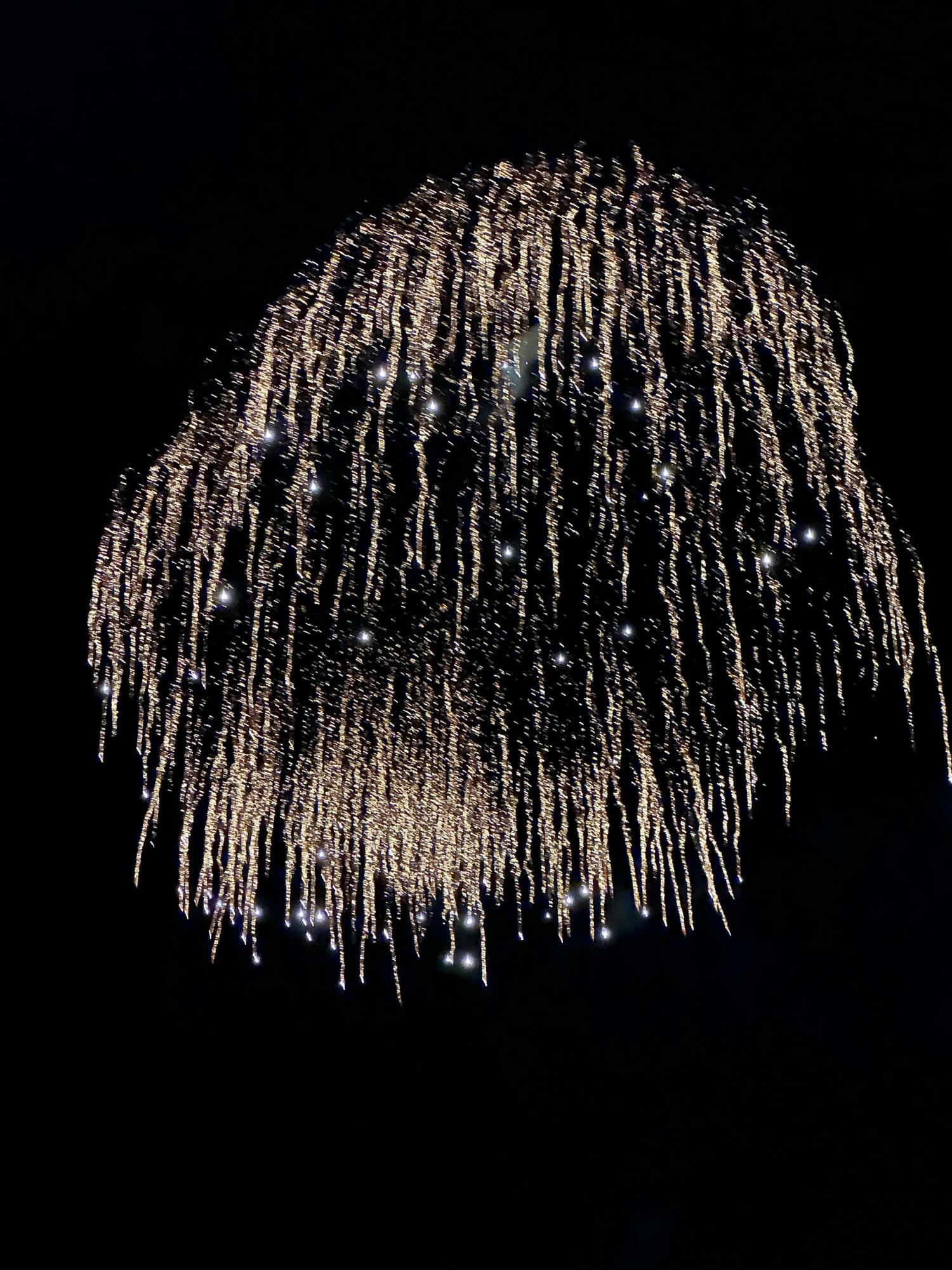 5 Calhoun Avenue 403