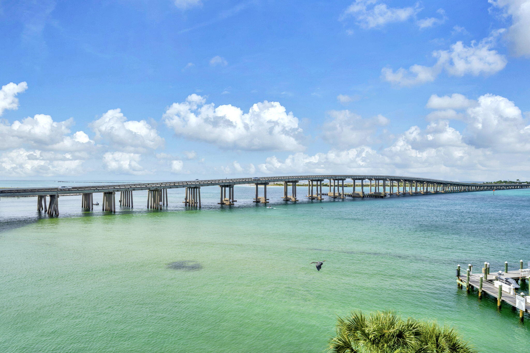 5 Calhoun Avenue 403